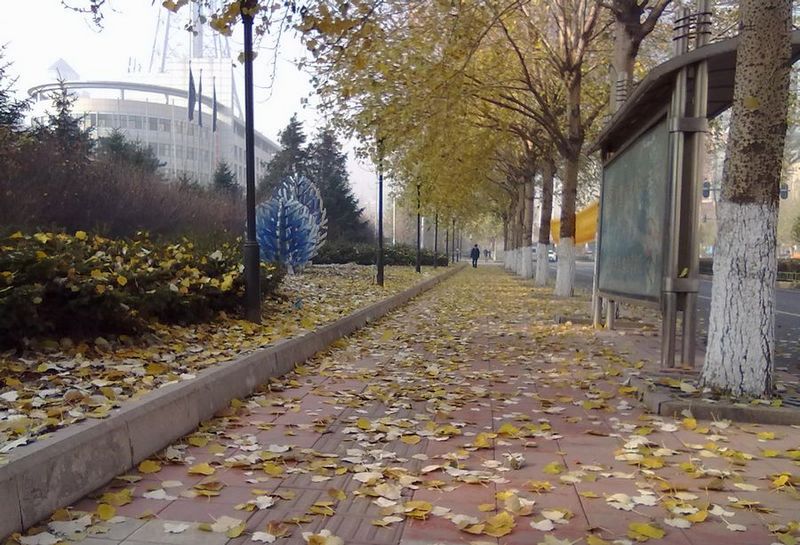 20111106148.jpg