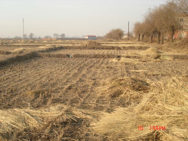 2011.11.10.֪ʮ顢顢ʮ11.jpg