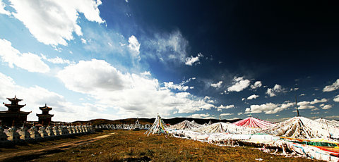 IMG_7013_.jpg