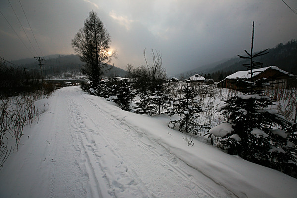 IMG_8588__1.JPG