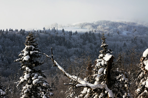 IMG_9088__1.JPG