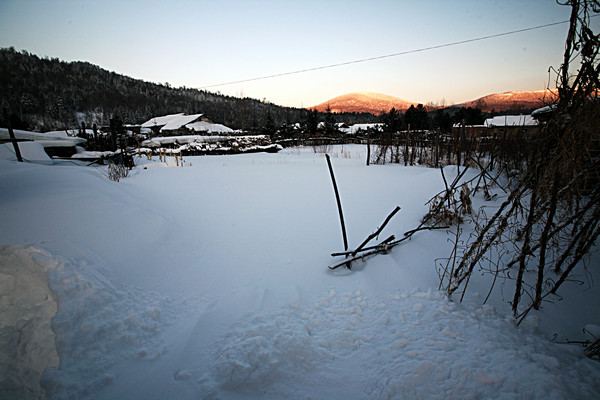 IMG_9245__1.JPG