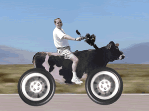 20091119024435548.gif