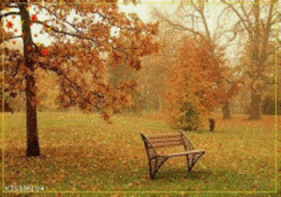 psb[3].gif