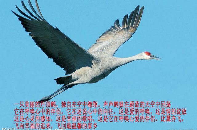 2014099_110835827651_2.jpg