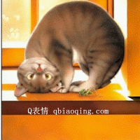 1A92411362.gif