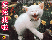 13391Q4C7.gif