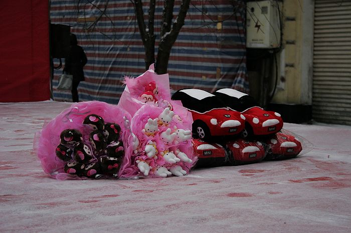 nEO_IMG__MG_0049.jpg