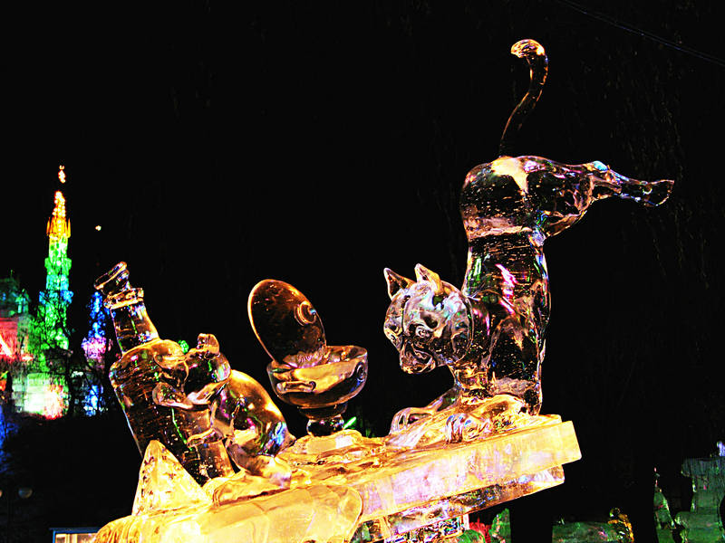SH100040__1.JPG