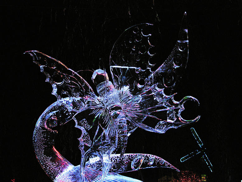 SH100029__1.JPG