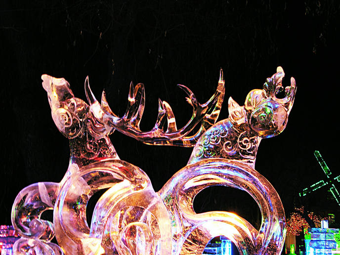 SH100084__1.JPG