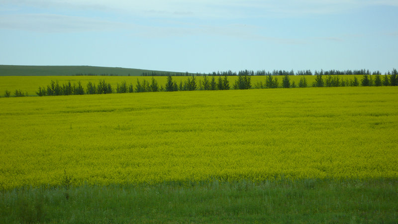 P1070013__1.JPG