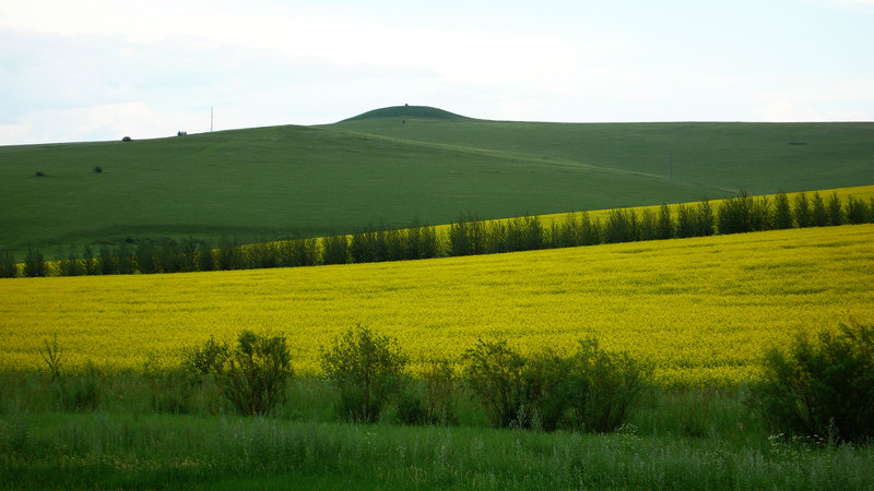 P1070016__1.JPG
