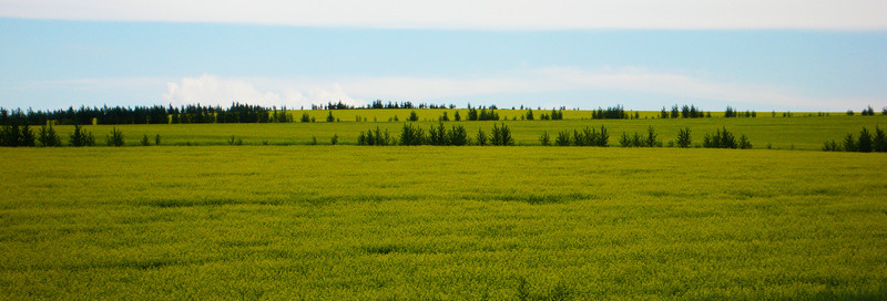 P1070015__1.JPG