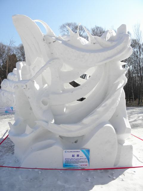 P2230635_.jpg