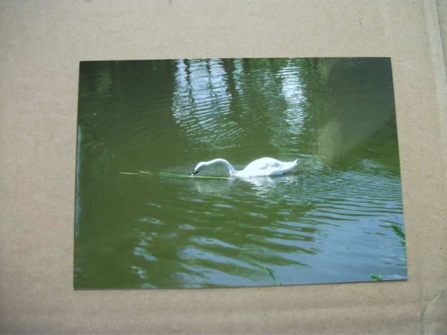 DSCF3112.jpg