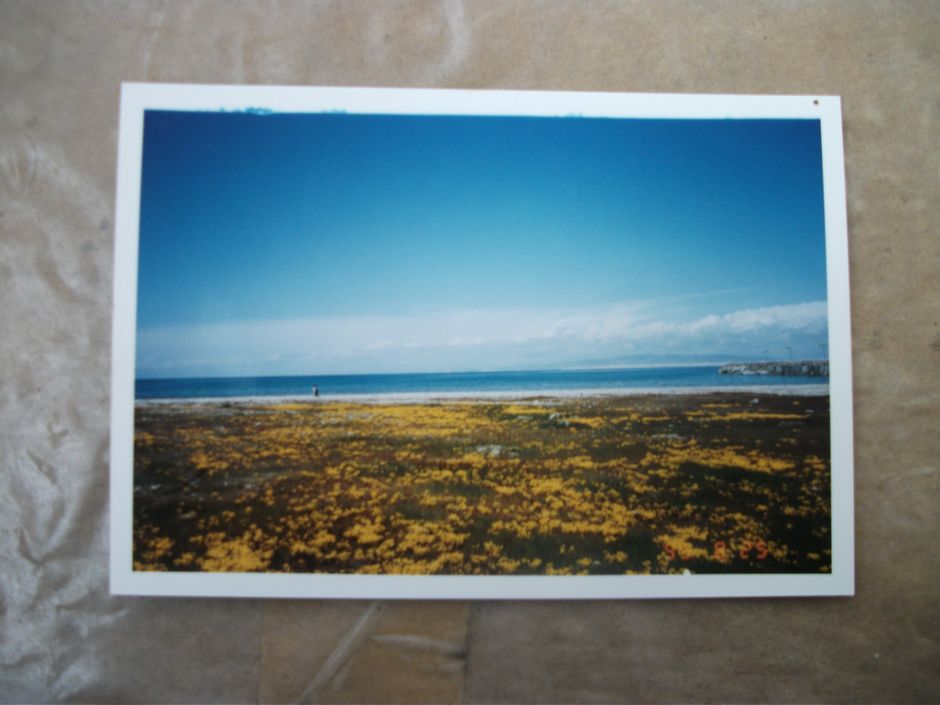 DSCF3161.jpg