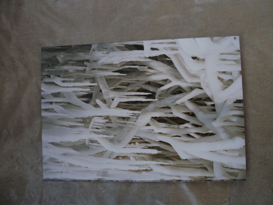 DSCF3189.jpg
