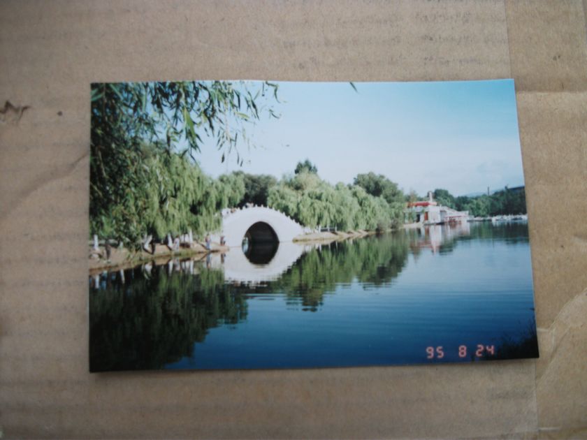 DSCF3147.jpg