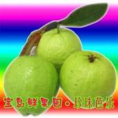 u=2427114356,2442901364&fm=51&gp=0.jpg