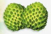 u=3594480940,3558941887&fm=51&gp=0.jpg