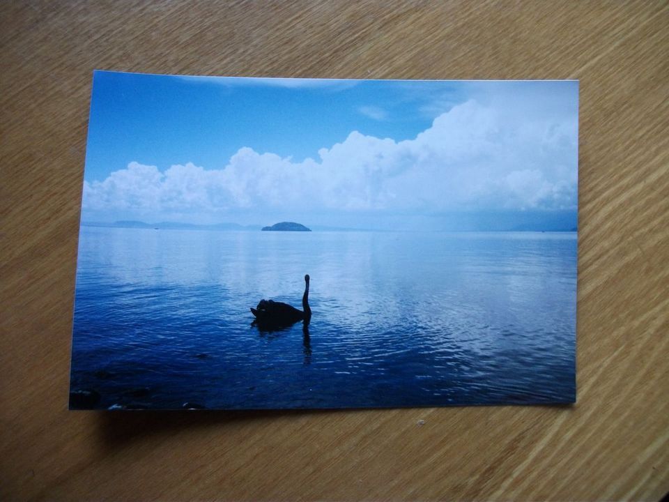 DSCF3306.jpg