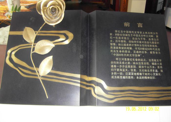 SDC14109 (700x500).JPG