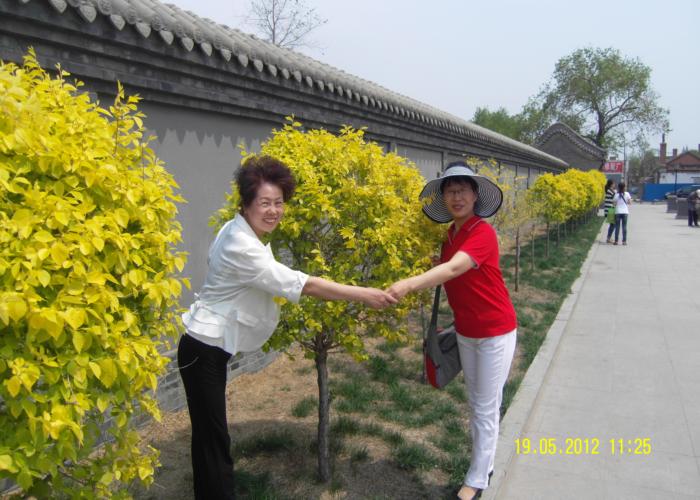 SDC14194 (700x500).JPG