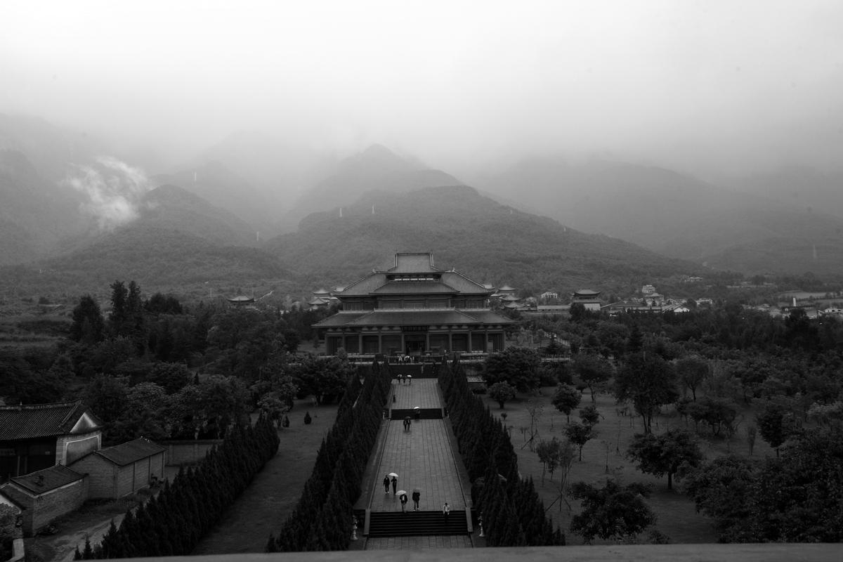 _MG_8084__1.JPG