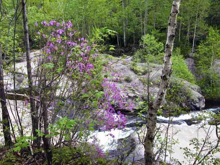 IMG_0638_С.jpg