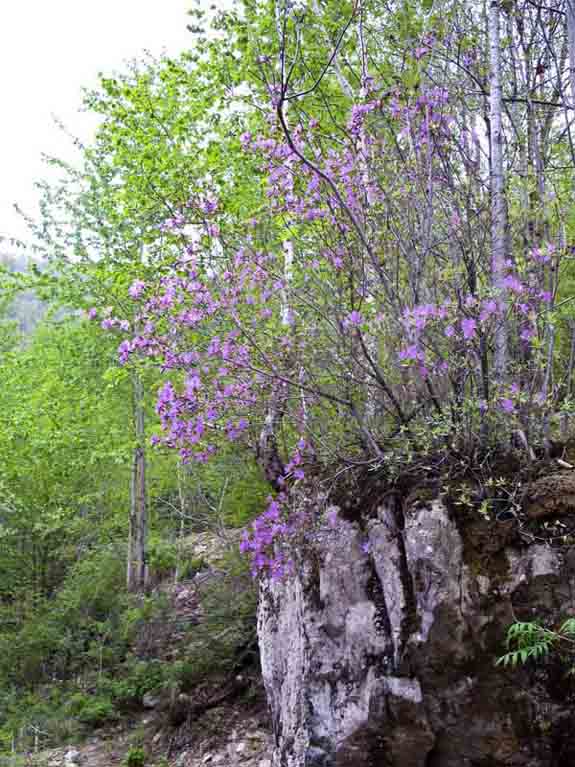 IMG_0640_С.jpg