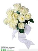 u=1207092188,634189131&fm=51&gp=0.jpg
