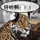 75.gif