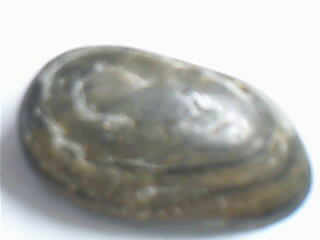 1715308508075082508.jpg