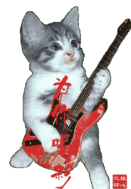 123123.gif
