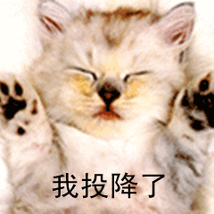 201001010104300360_.gif