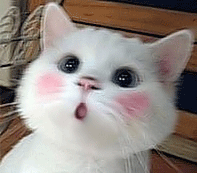 δ0.gif