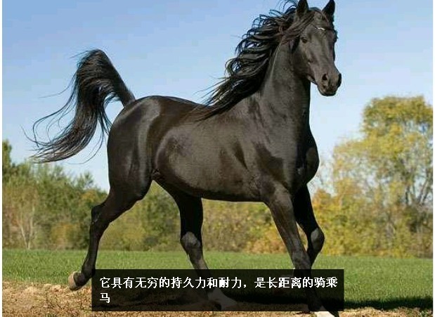 δ9.jpg