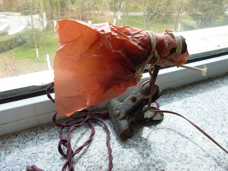 P1000545.JPG
