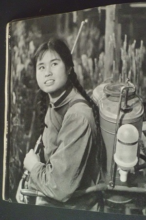 CIMG3684.JPG