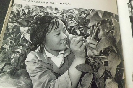 CIMG3686.JPG