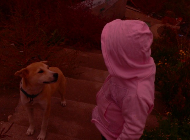 QQͼ20121117120420.jpg