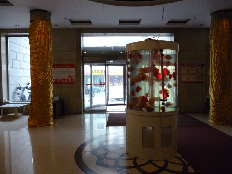 P1000568.JPG