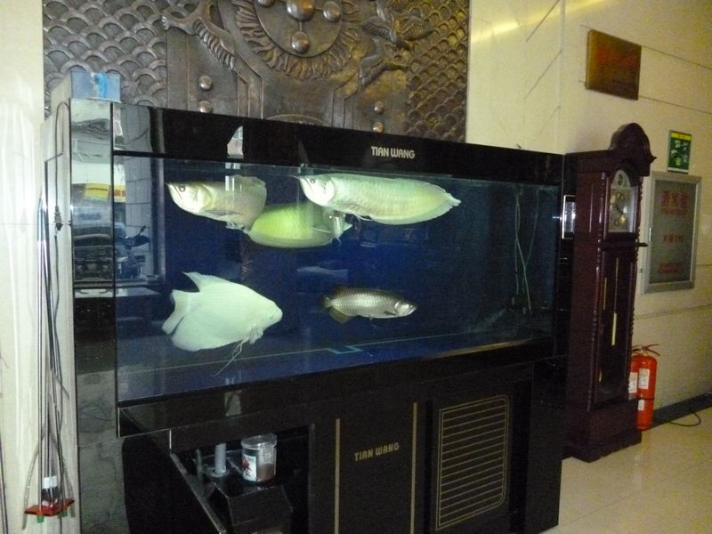 P1000569.JPG