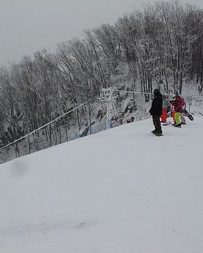 IMG_3782.jpg