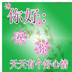 5.gif