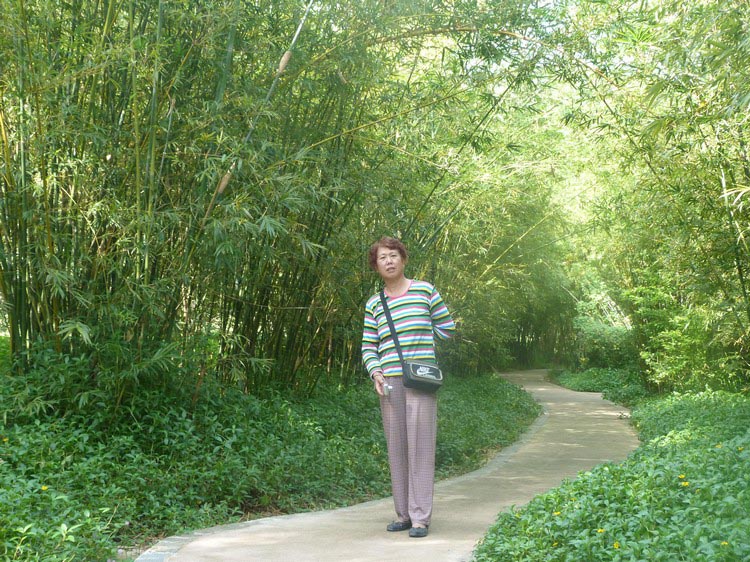 05.jpg