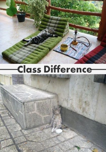 2011830401948.jpg