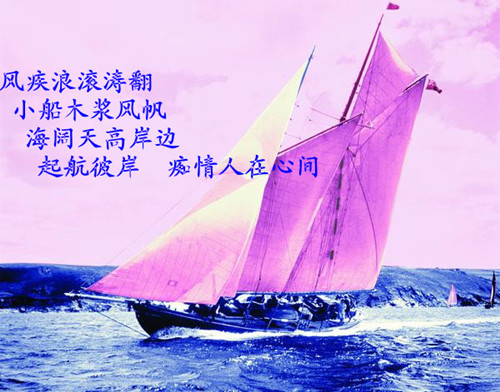 0150040095__.jpg