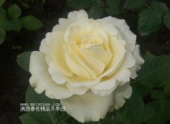 u=1600422511,3360923933&fm=23&gp=0.jpg